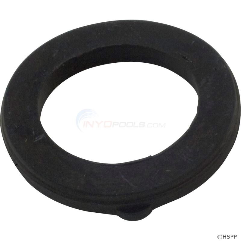 Waterway Gasket, Hose Fitting 3/4" (8060100)