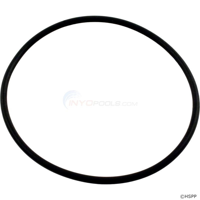 SWING VALVE O-RING