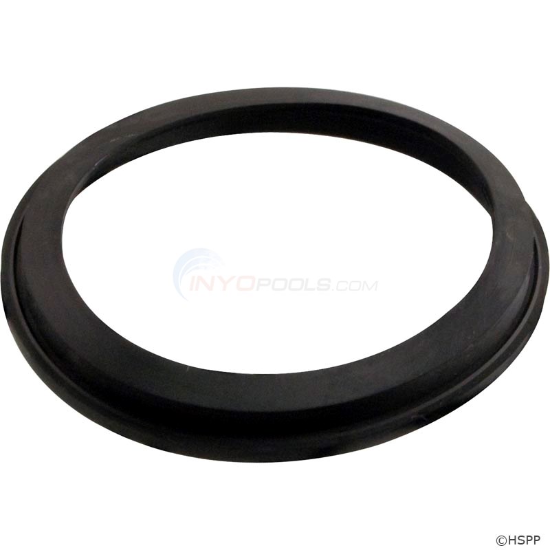 GASKET,VALVE SEAL - 2 IN. (1002-7N)