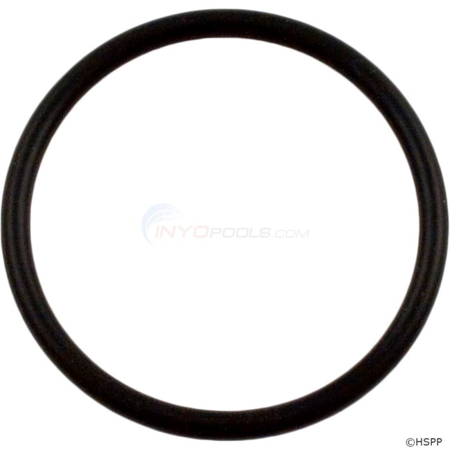 Pentair O-ring, Bulkhead (2 Required) (52000200)
