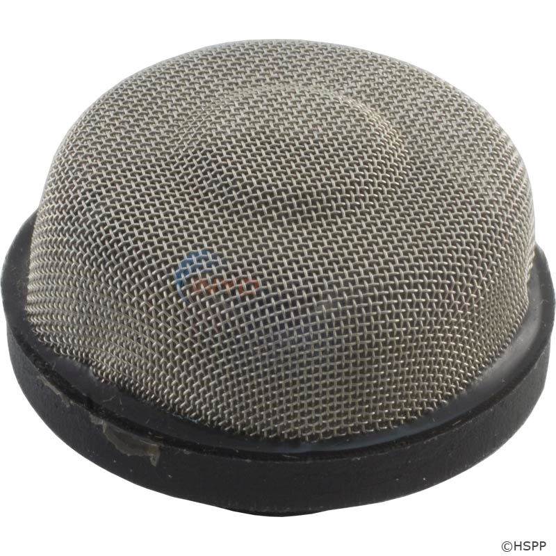 Pentair Strainer, Air Relief (154578)