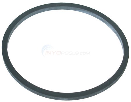 Pentair Square Ring Seal (084900031)