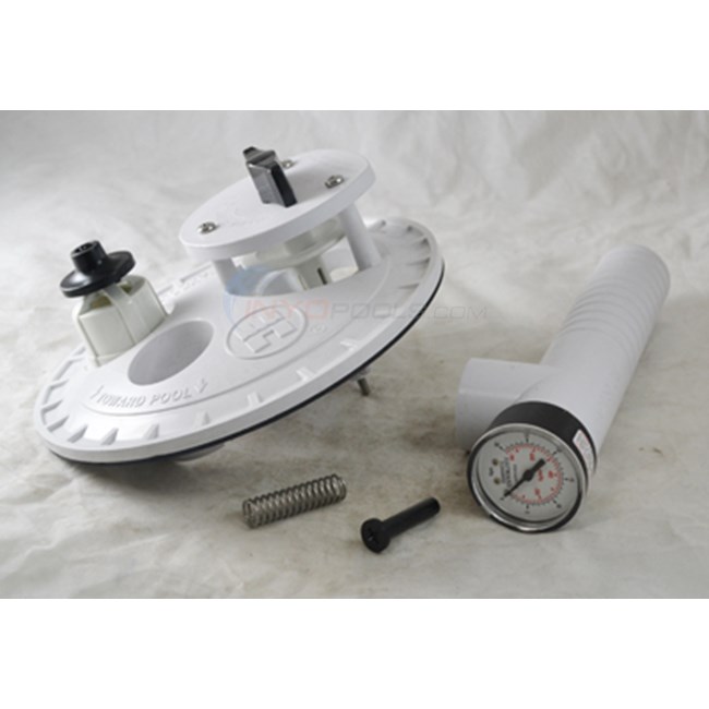 Hayward Automatic Skimmer Vacuum Plate (Large) - W491R