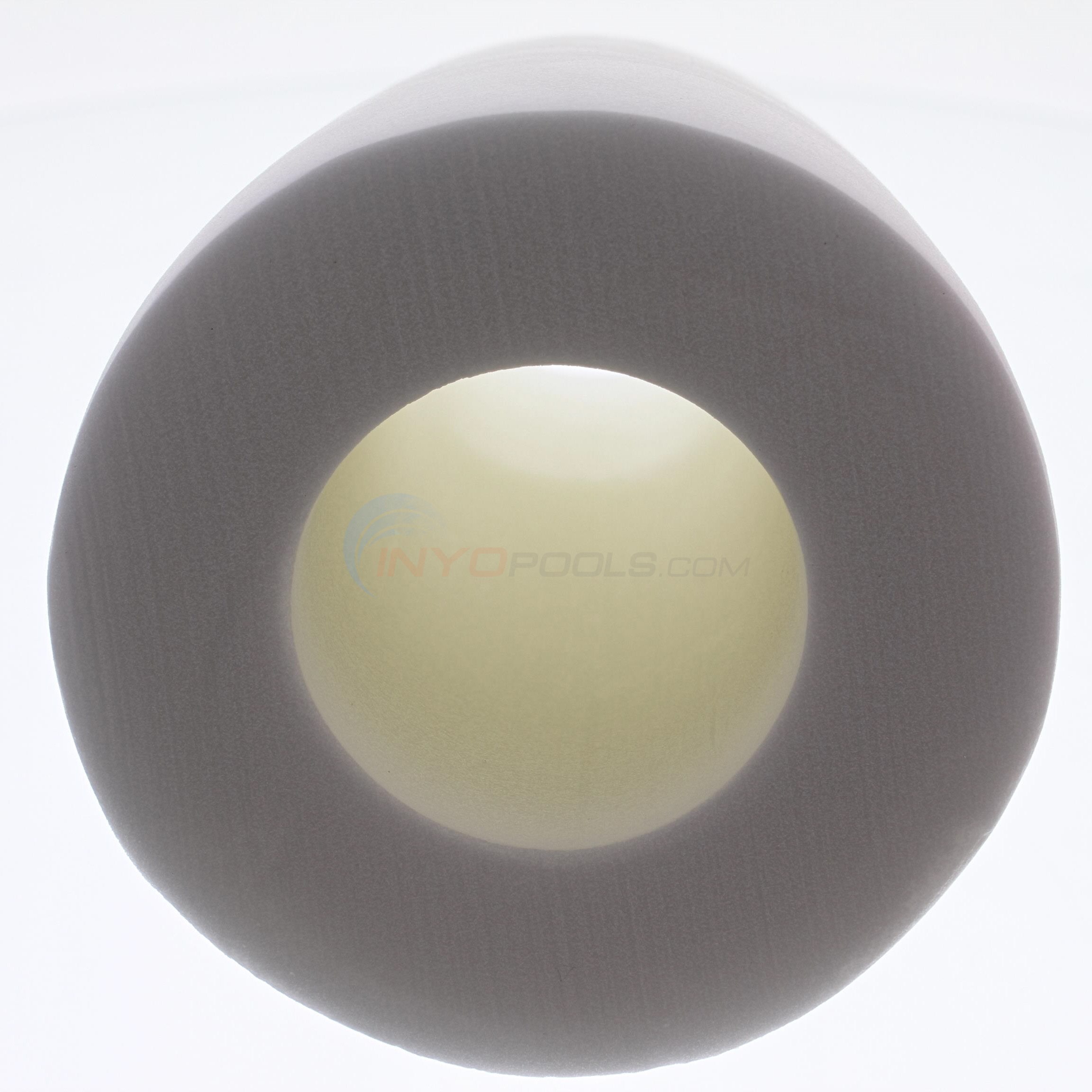 Maytronics Wonder Brush - 6101610