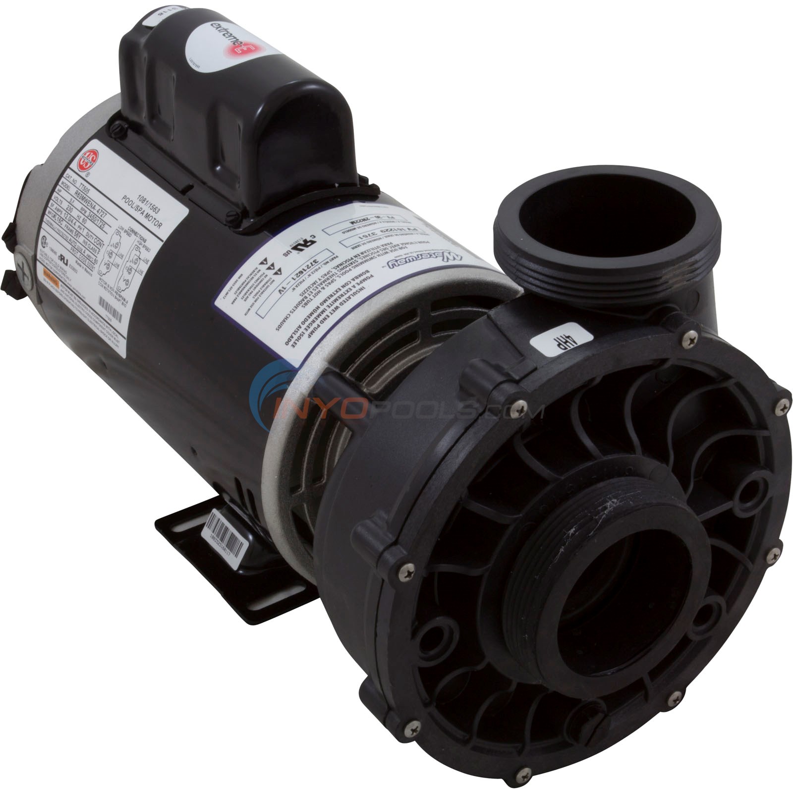 Viper 4.0 HP 56FR 230V Dual Speed 2-1/2