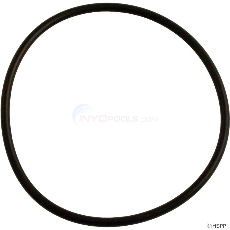 Strainer O-Ring