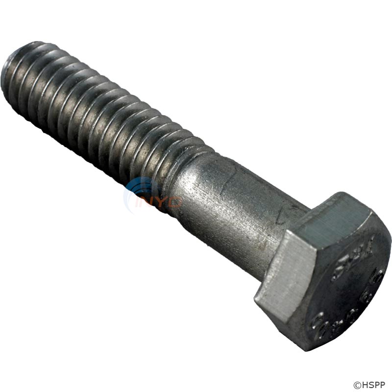 SCREW, HEX CAP SS (P27555)