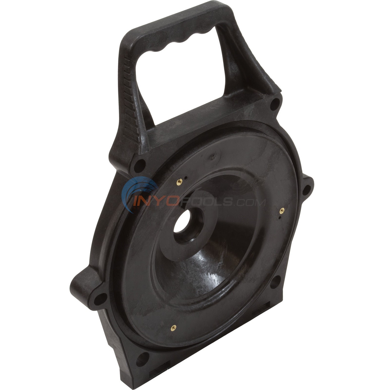 P. willinckii ' Crown'① Amazon.com: QA1 MS431-09550 03-11 Crown Vic Front Adj Coil