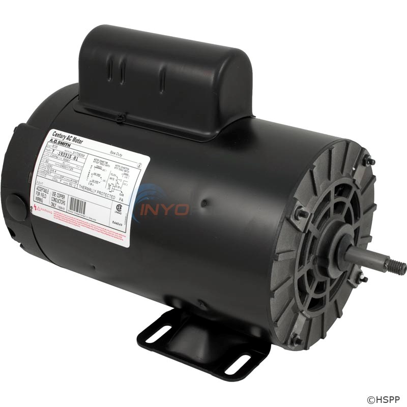 Waterway Century 4.0 HP Thru-Bolt 56Y Dual Speed 230V Motor - B2235