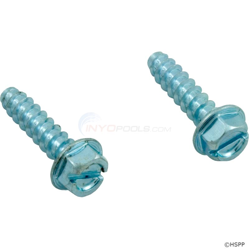 Hayward Mounting Foot Cap Screw (set Of 2) (spx1600z52)