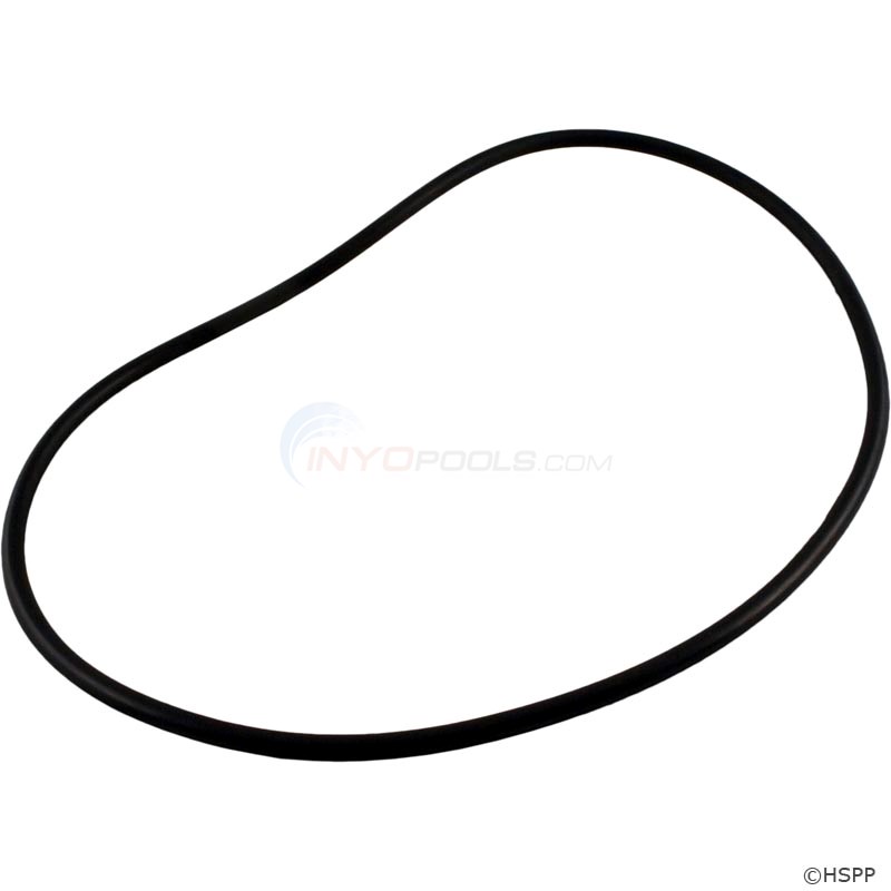 BACKPLATE O-RING