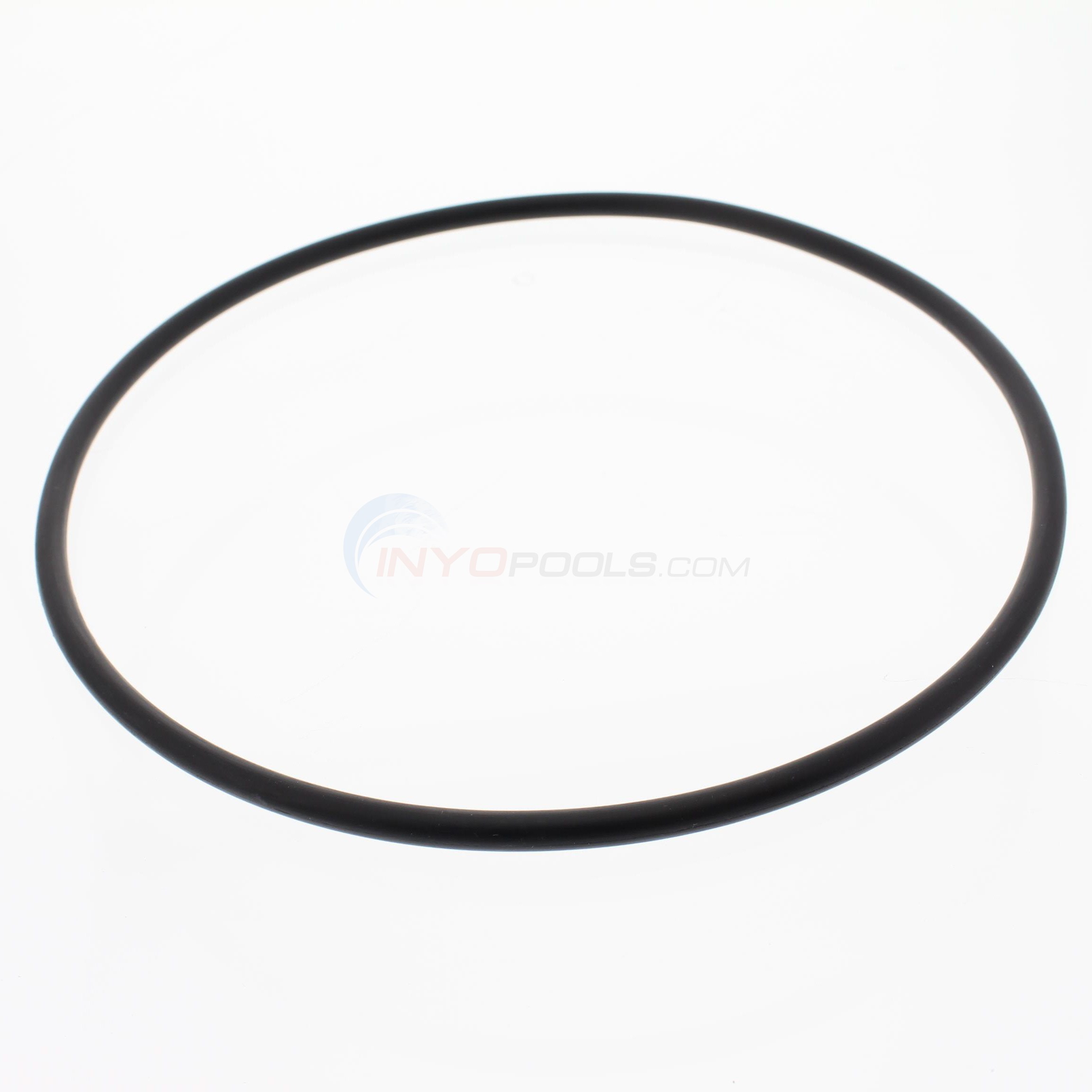 Pentair Seal Plate O-Ring - 351446