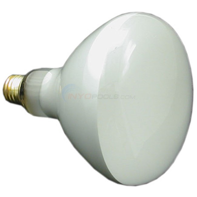 Halco Lighting Halco 120v 300w Flood Bulb for Pool Light, Standard Base E26 - BR40FL300