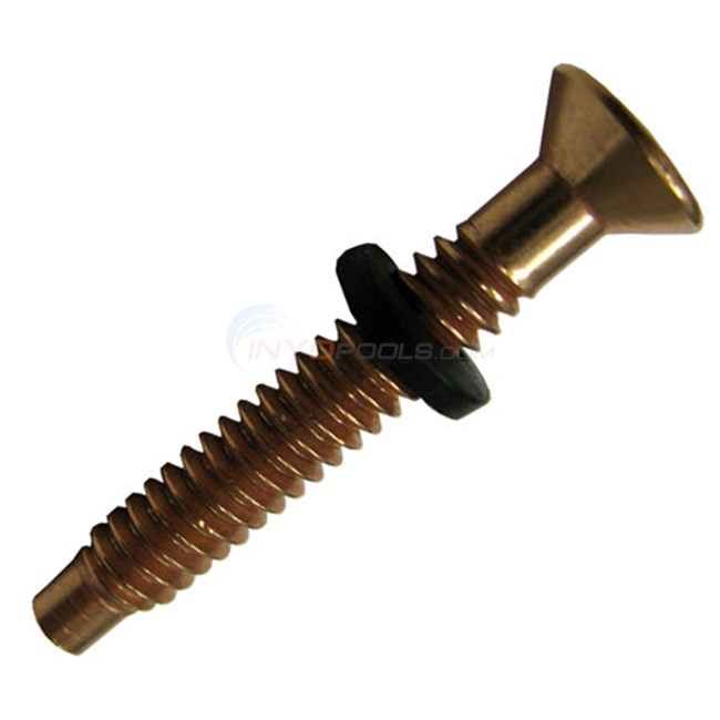 Pentair Screw, Locking W/ Gum Washer - 79104800 Brass Screw