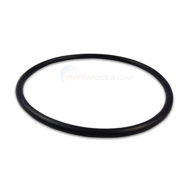 Pentair IntelliFlo3 VSF 1.5HP Pump Seal Plate O-Ring - 356148Z