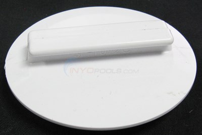 Hayward Access Plug F/1092 (spx1092c)