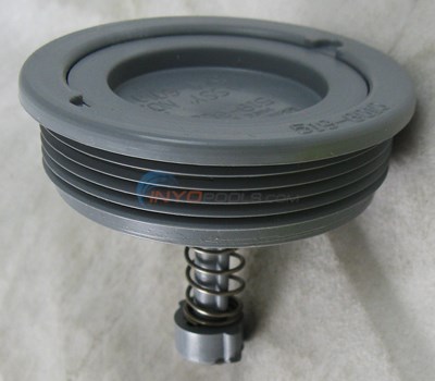 Waterway Equalizer Valve Ass'y (5406010)