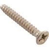 SCREW, MOUNTING PLATE