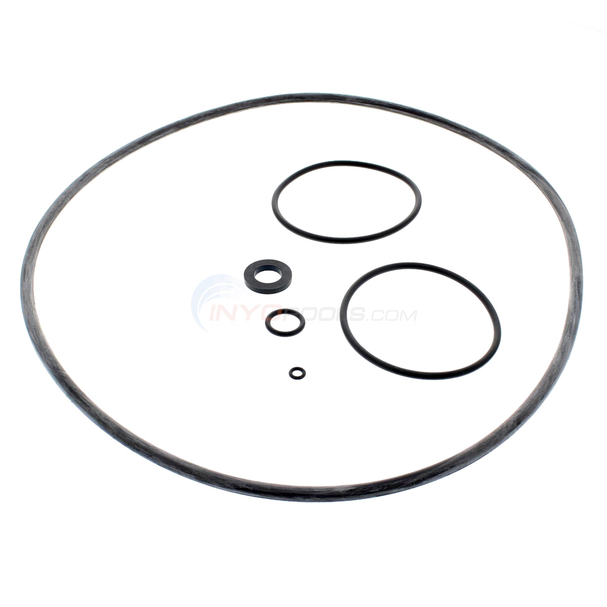 Jandy CS Pool Filter Oring Set R0466300