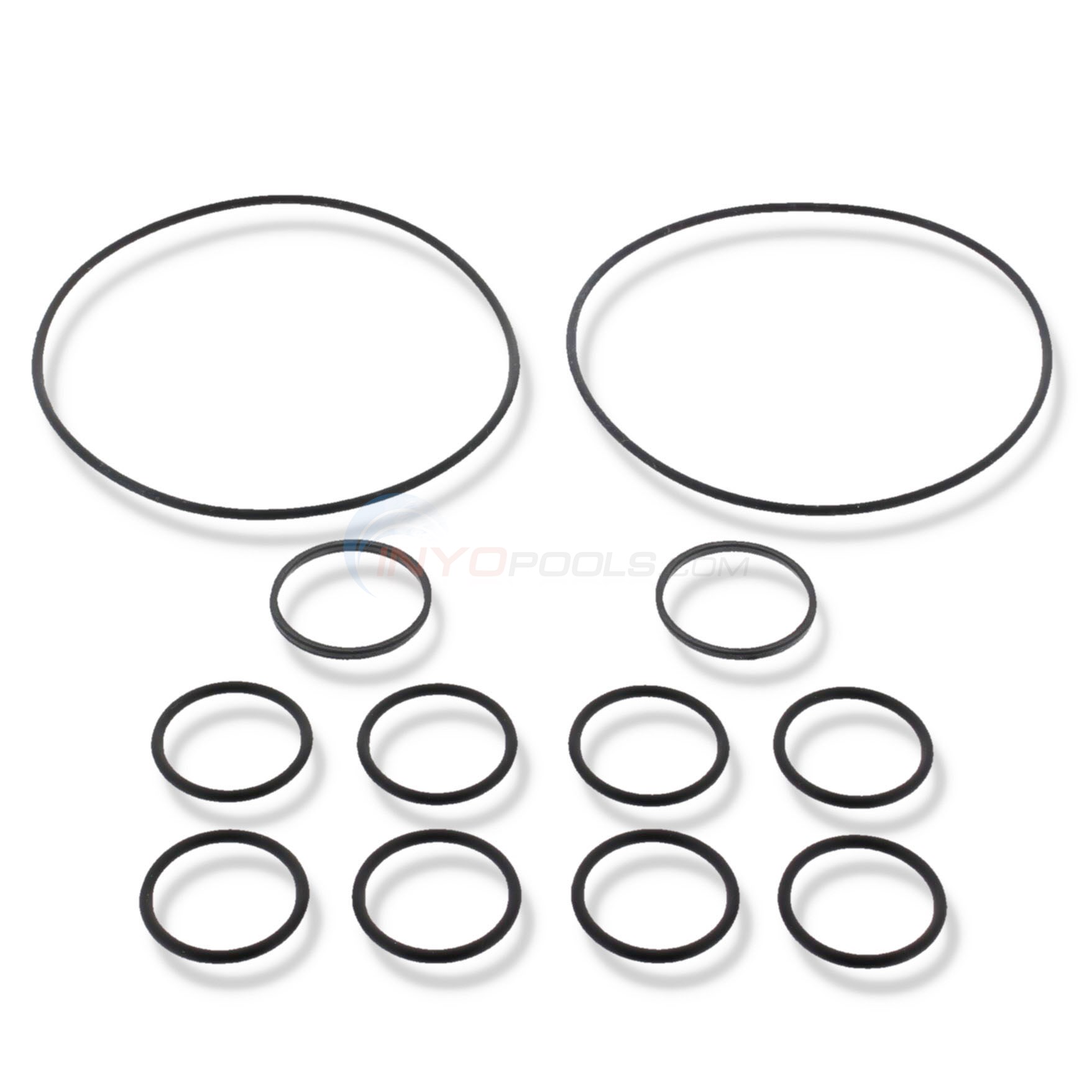Neverlube Backwash Valve O-ring  Kit
