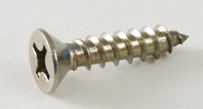 Pentair Screw, Flathead #12 X 1in (552472)