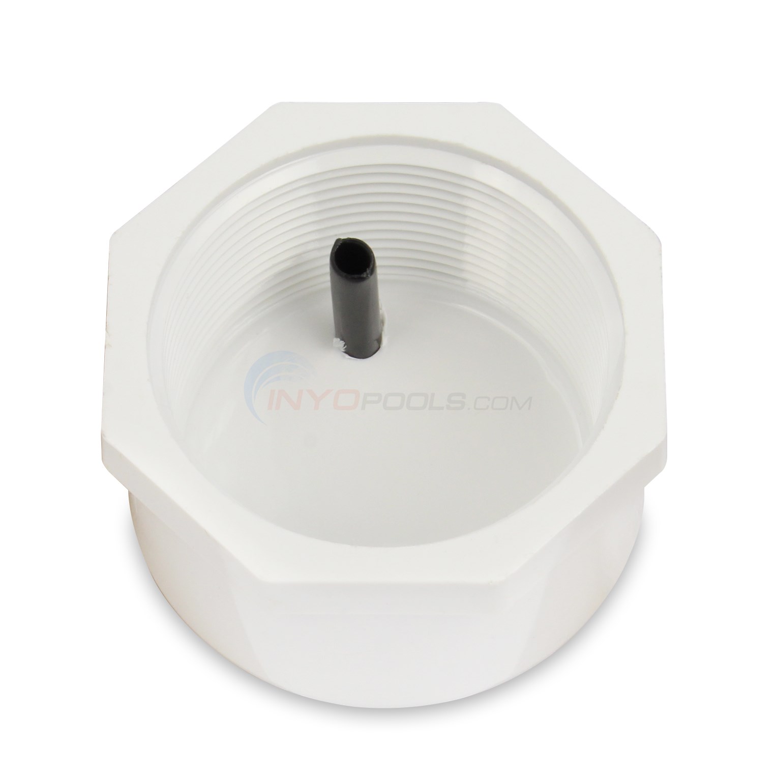 Pentair Cap And Strainer Assembly (274411) - INYOPools.com