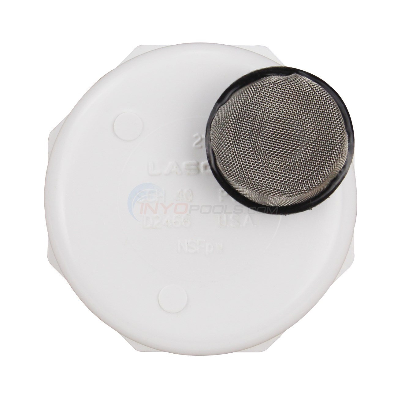 なっぱ Pentair Cap And Strainer Assembly (274411) - INYOPools.com