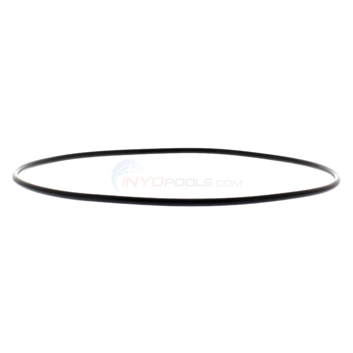 Pentair O-Ring Clear Black Replacement | 154493Z