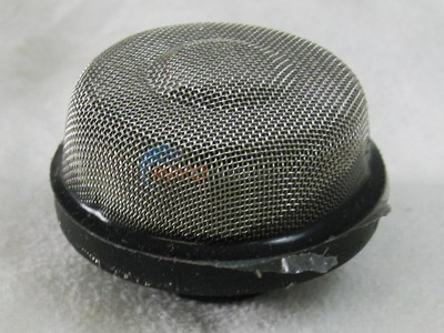 Pentair Strainer, Air Relief (154578)