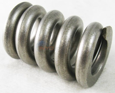 SPRING - TR OVAL CLOSURE