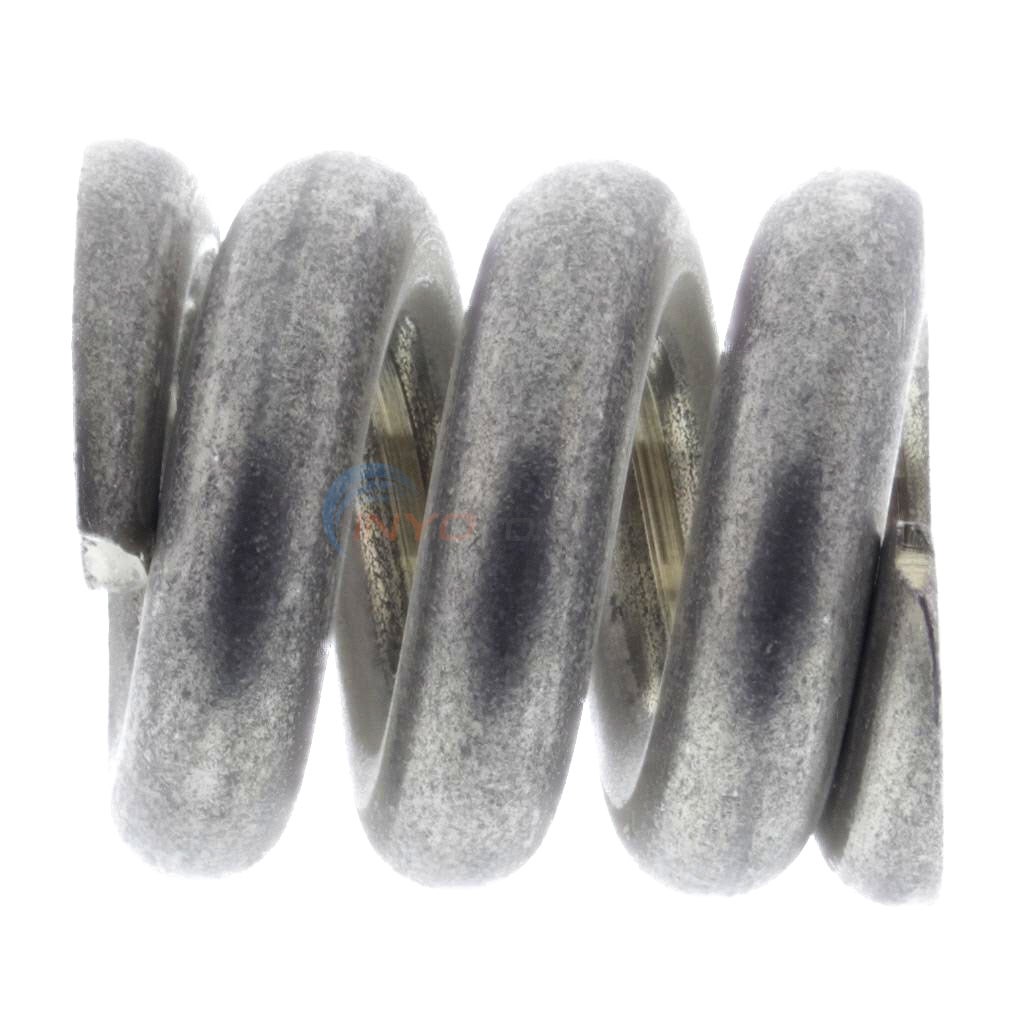 Pentair Spring For Fns/ins Filters (195612)