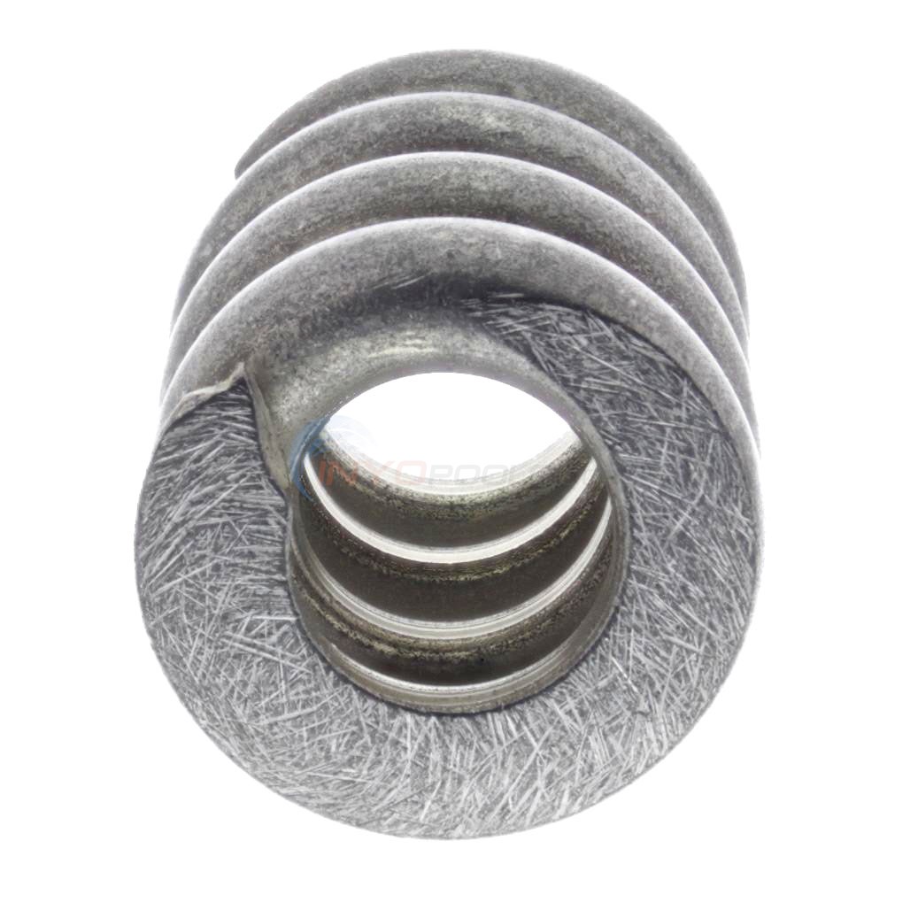 Pentair Spring For Fns/ins Filters (195612)