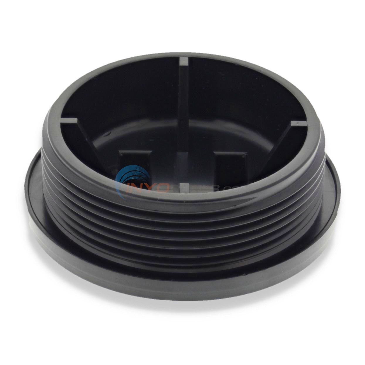 Pentair Plug, 2" Npsm (195829)