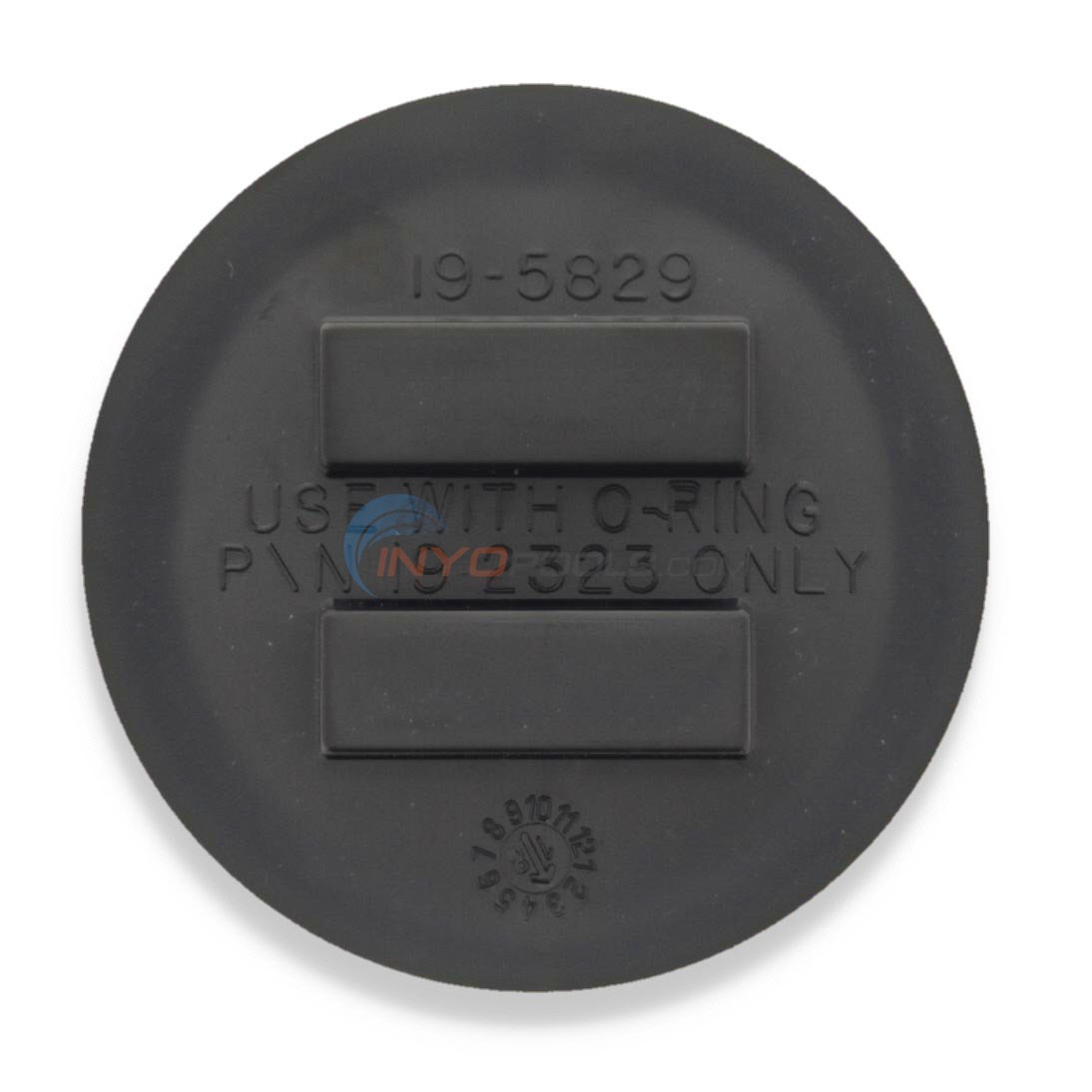 Pentair Plug, 2" Npsm (195829)