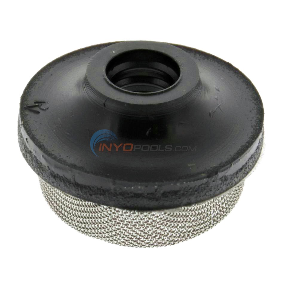 Pentair Air Relief Strainer, 3/8" 150035