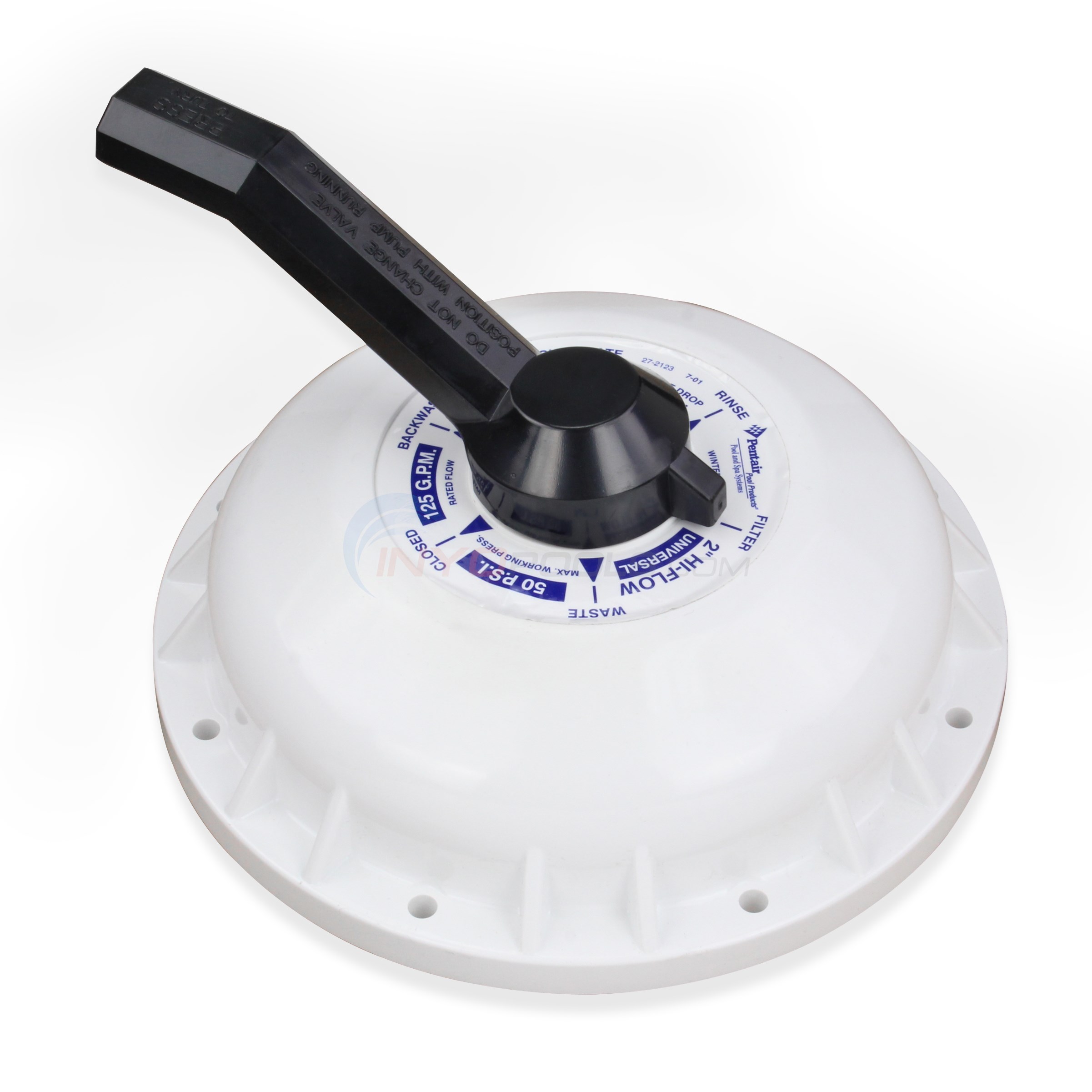 Lid Assembly, Pentair PacFab 2