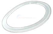 Gasket, Multiport Valve (51021700)
