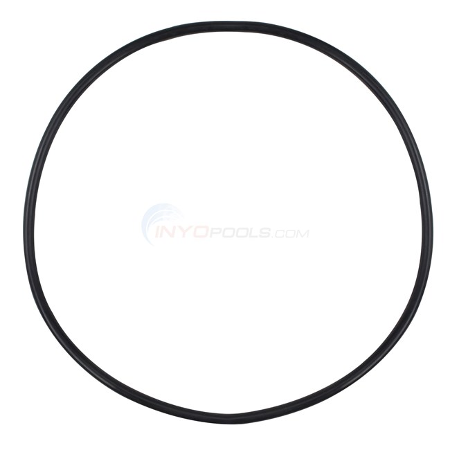 Tank O-ring 18" (After 11-94 -) - 53008800Z