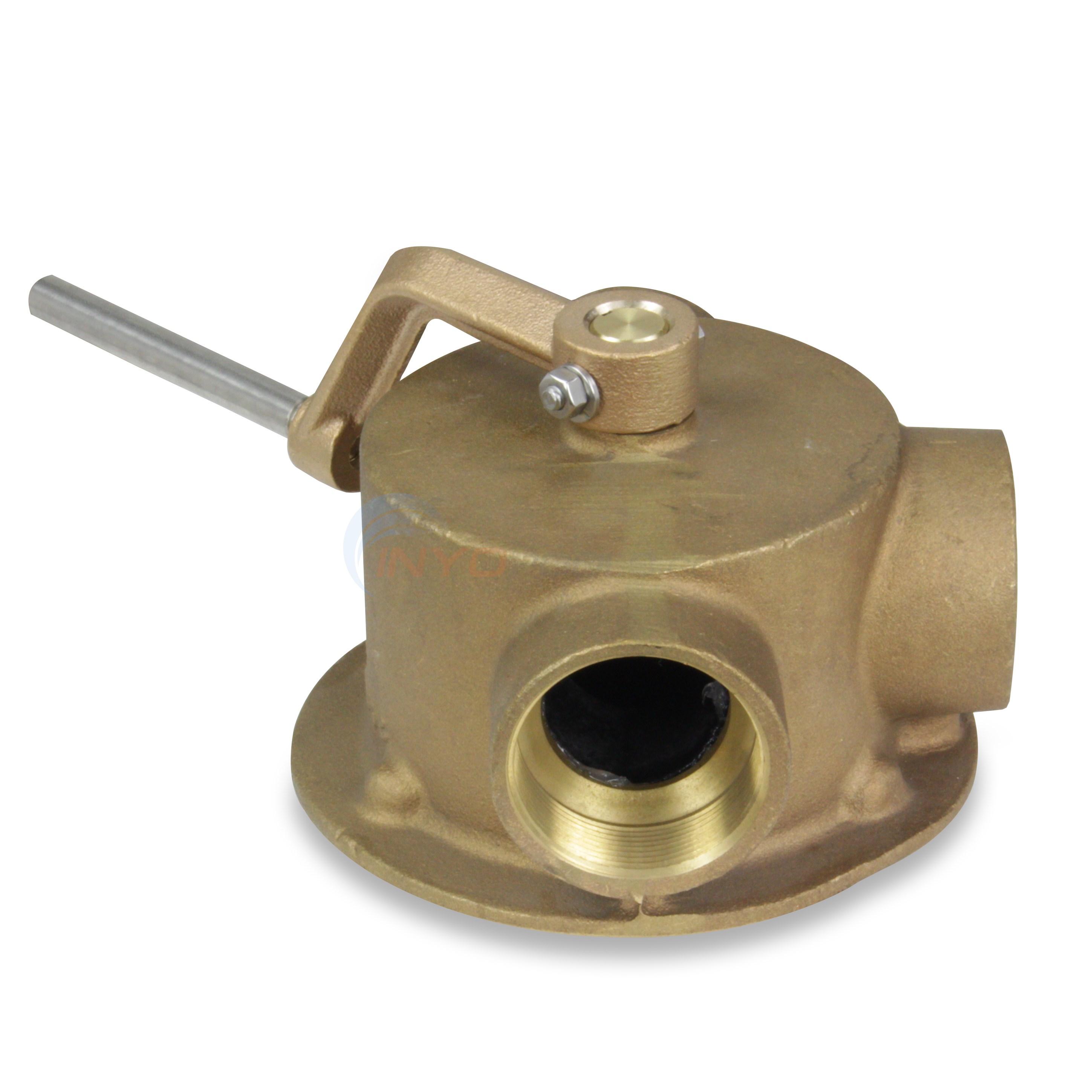 Pentair Valve, Complete Bw W/noryl Rtr (073462)