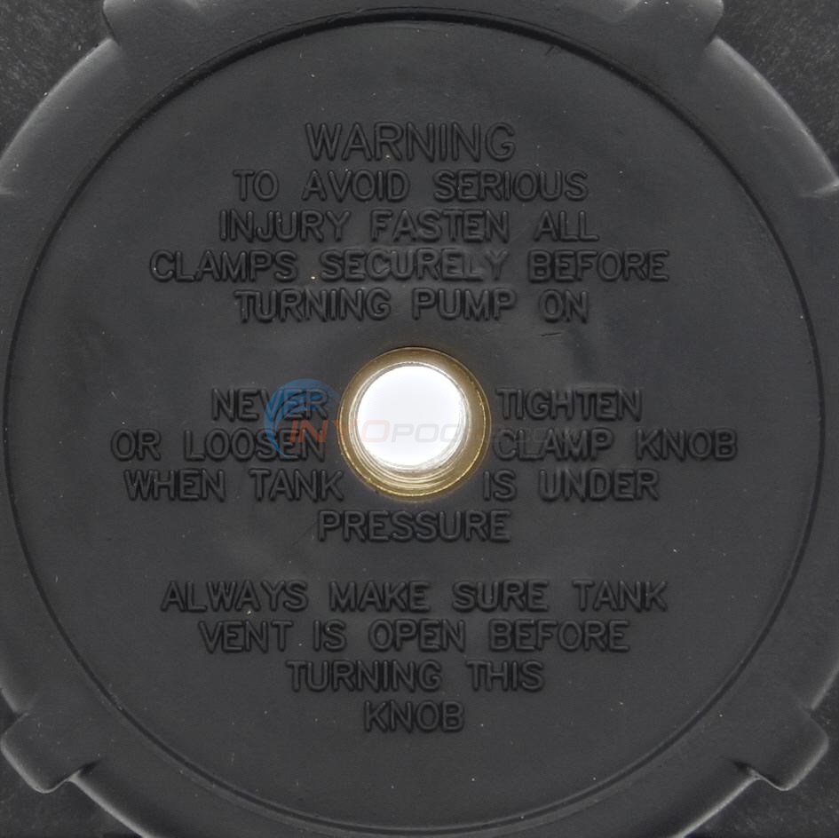 Sta-Rite Pentair System 3 Filter Clamp Assembly - 24850-0200