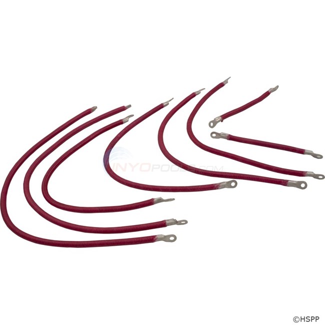 Raypak Wire Kit, Complete (001090f)