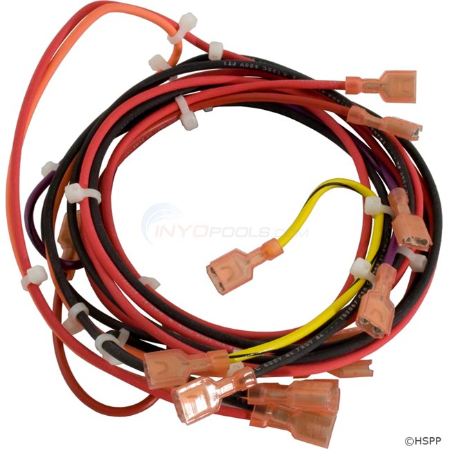 Raypak Wire Harness, Mv, 130 - 011607F
