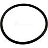 O-Ring, Plastic Hi Flo 2" Union (O-301)