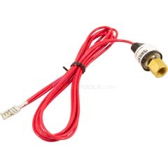 Pentair Switch, Low Pressure - 473656 - INYOPools.com