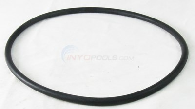 Waterway O-ring, MPV/Body - 805-0442