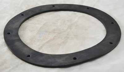 Speck Pumps Gasket 2926999990