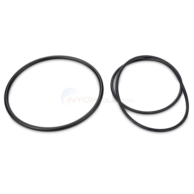 Hayward Air Relief O-Ring Kit for Select Pool Filters - DEX2420Z8A