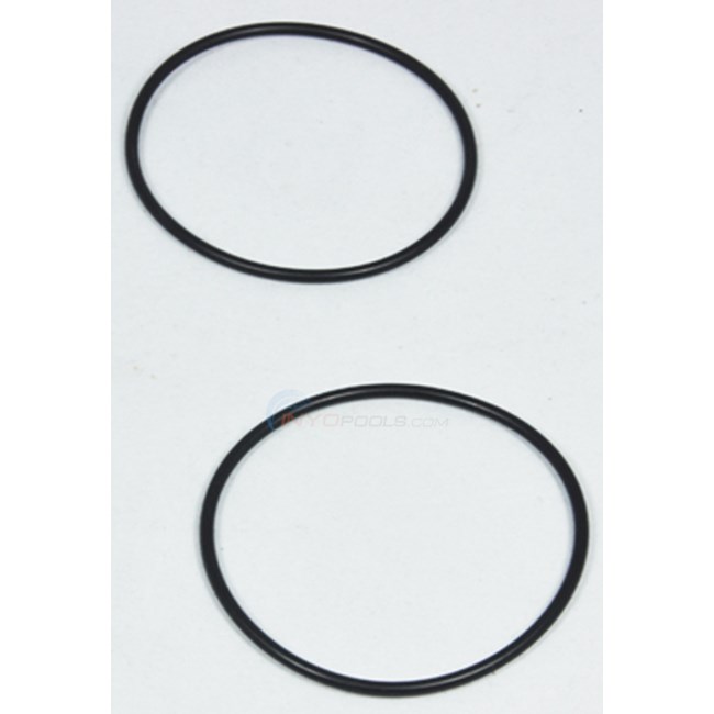 Zodiac Union O-ring, Set Of 2 (r0337601)