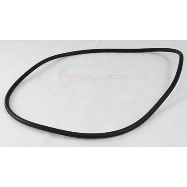 Backplate O-ring - R0480300