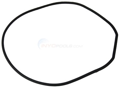 Faceplate Gasket